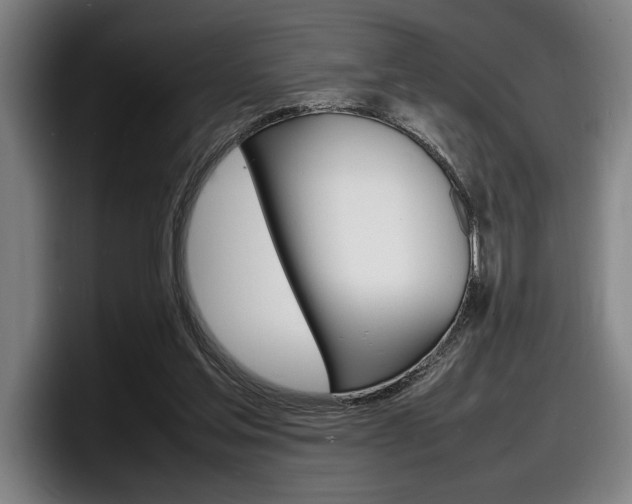 X0000098160205200804171225
