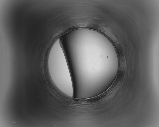 X0000098160207200804171225