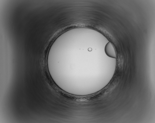 X0000098160208200804171225