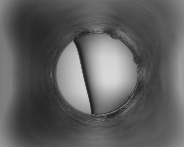 X0000098160209200804171225