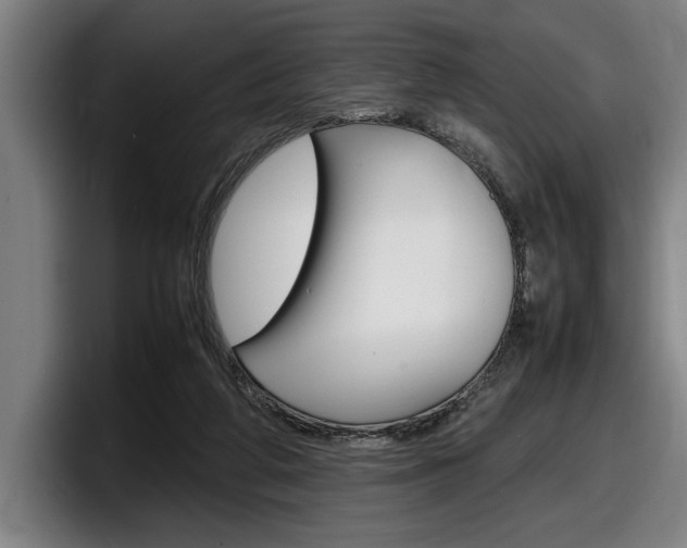 X0000098160210200804171225