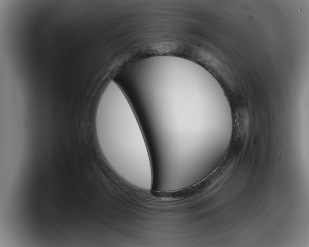 X0000098160212200804171225