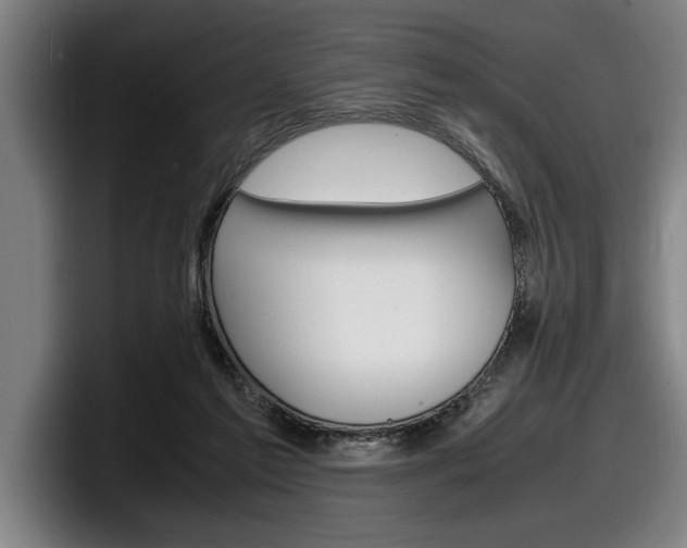X0000098160213200804171225