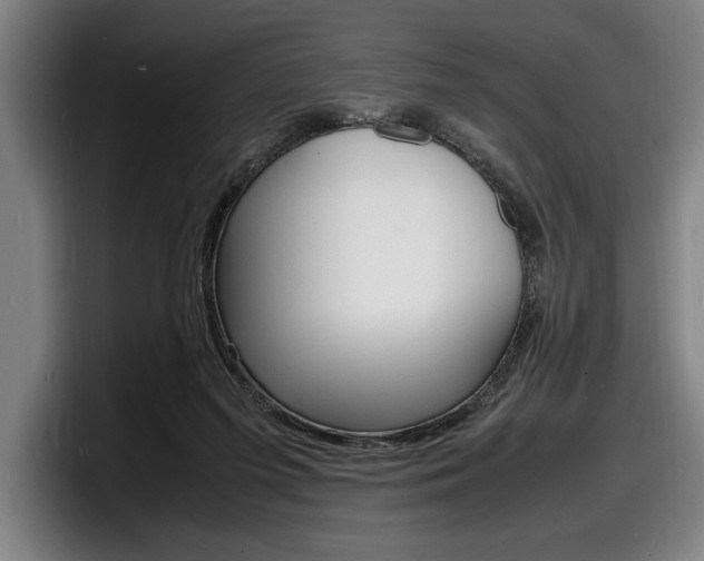 X0000098160215200804171225