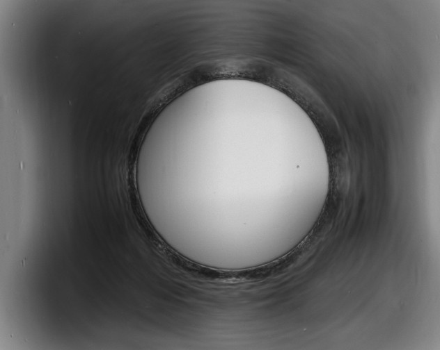 X0000098160216200804171225