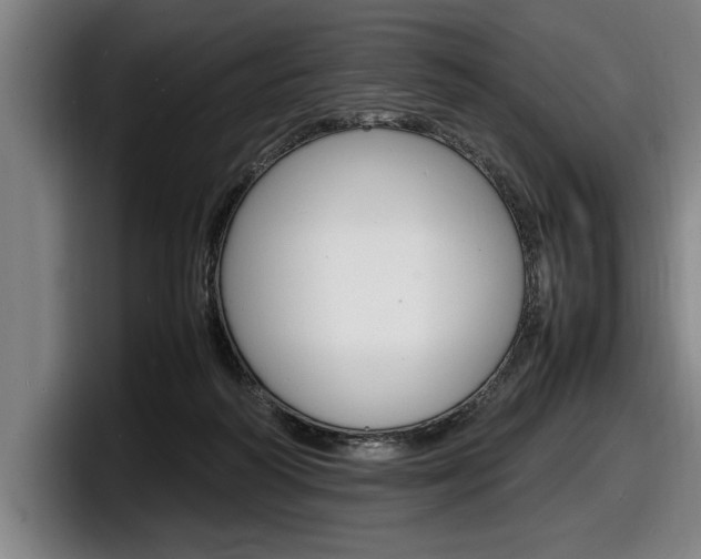 X0000098160218200804171225