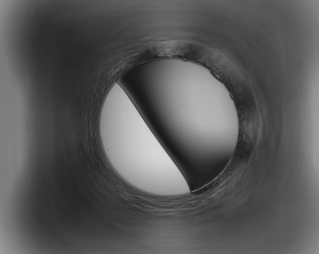 X0000098160219200804171225