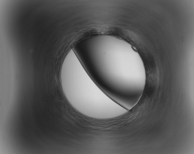 X0000098160221200804171225