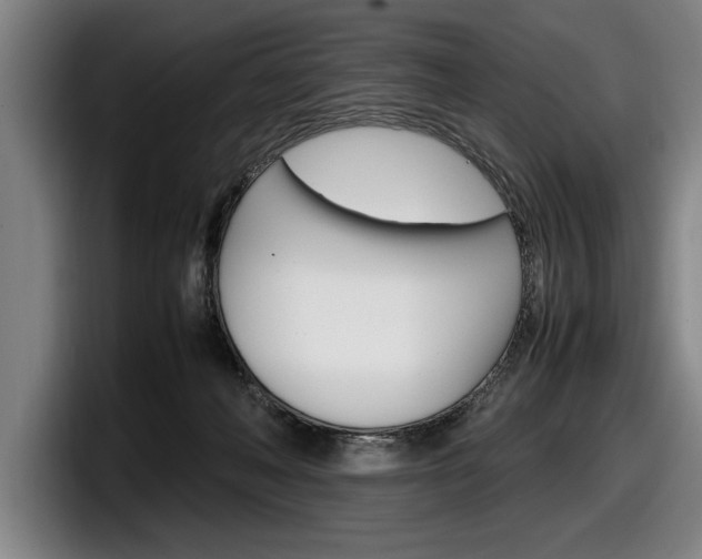 X0000098160222200804171225
