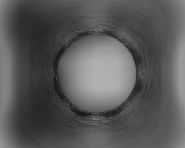 X0000098160223200804171225