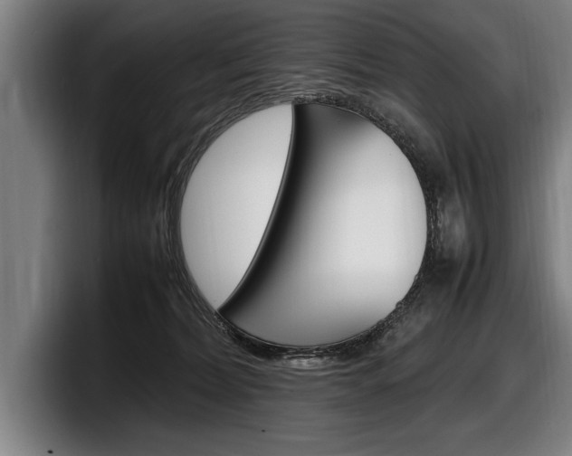 X0000098160228200804171224
