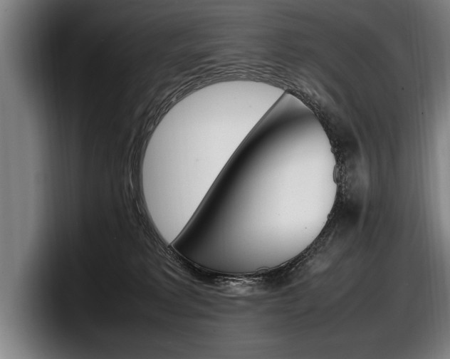 X0000098160229200804171224