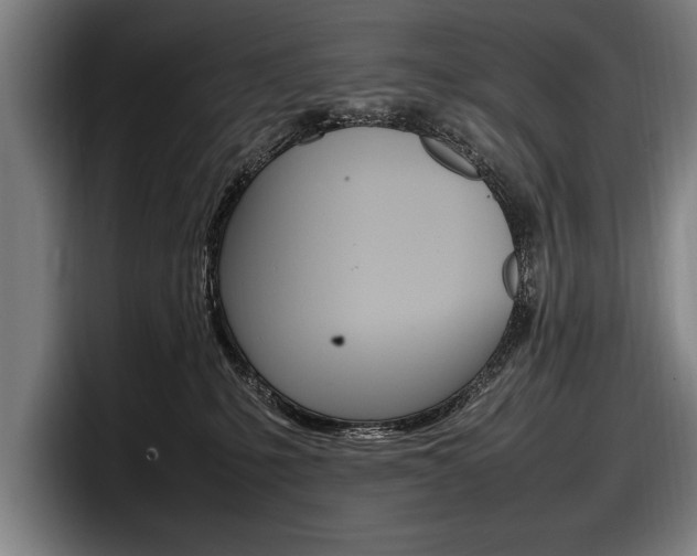 X0000098160231200804171224