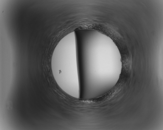 X0000098160233200804171224