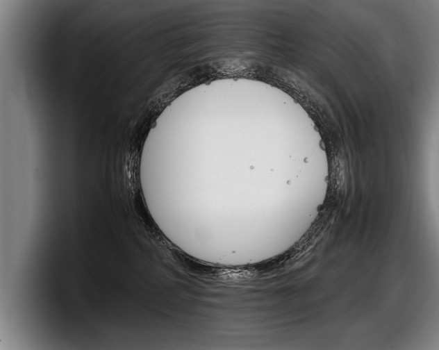 X0000098160234200804171224