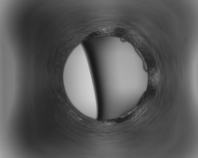 X0000098160235200804171224