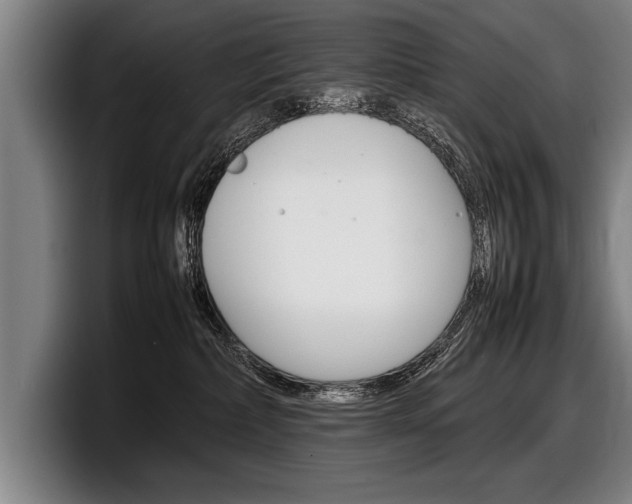 X0000098160236200804171224