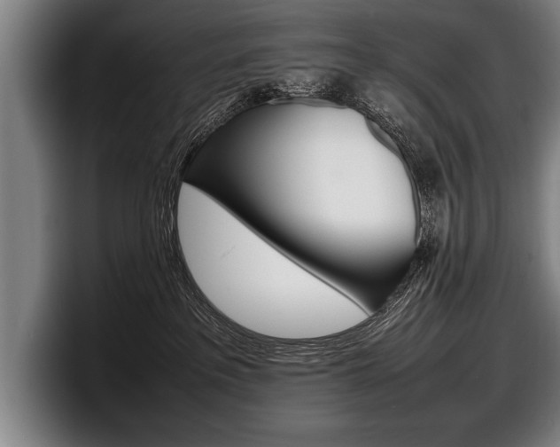 X0000098160237200804171224