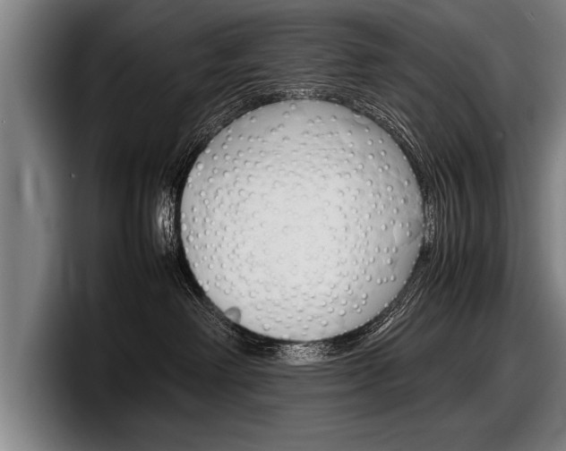 X0000098160238200804171224