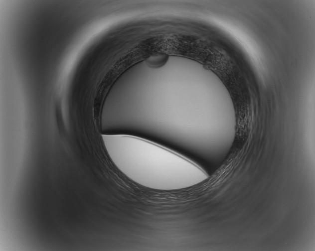 X0000098160239200804171224