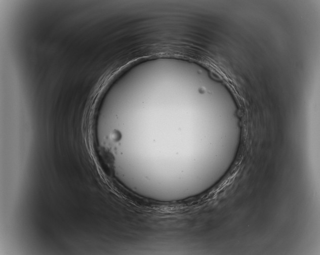 X0000098160241200804171224