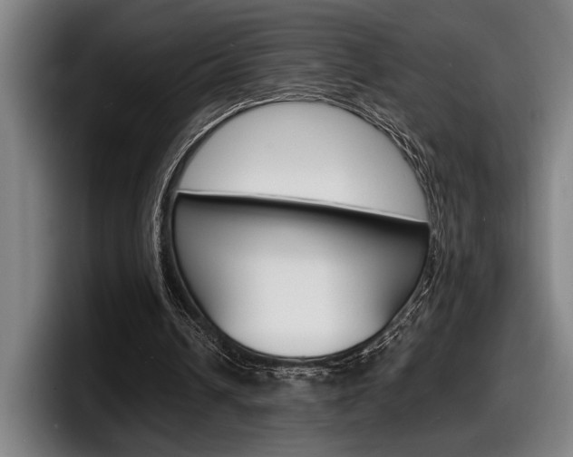 X0000098160242200804171224