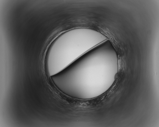 X0000098160243200804171224