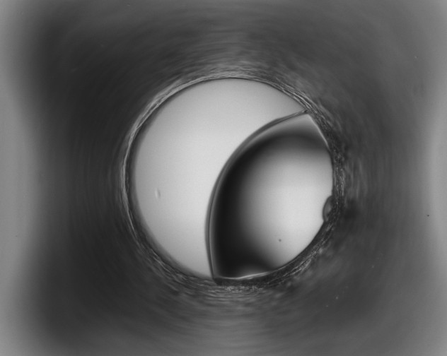 X0000098160244200804171224