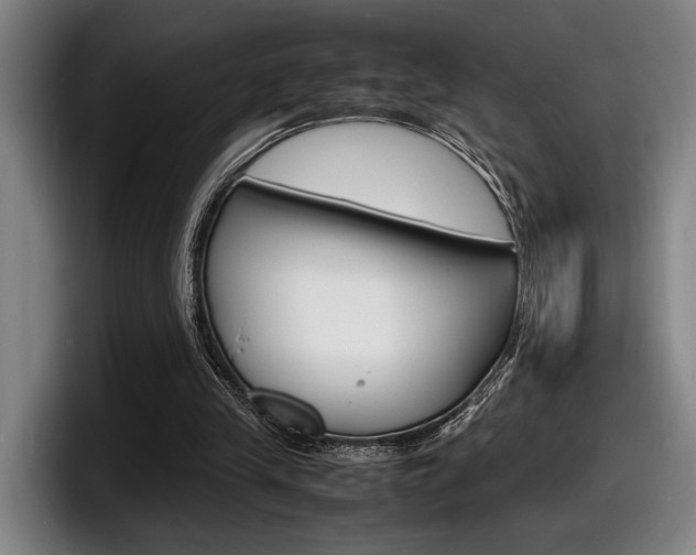X0000098160245200804171224