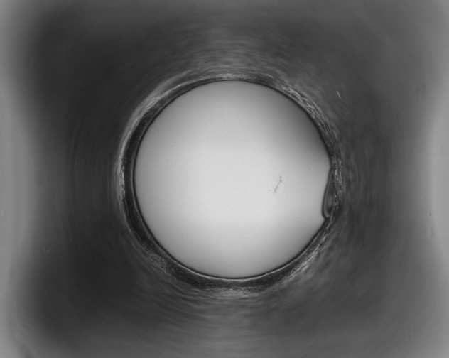 X0000098160246200804171224