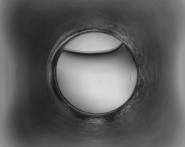 X0000098160247200804171224