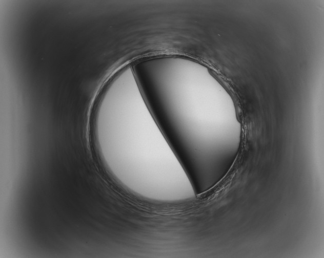 X0000098160248200804171224