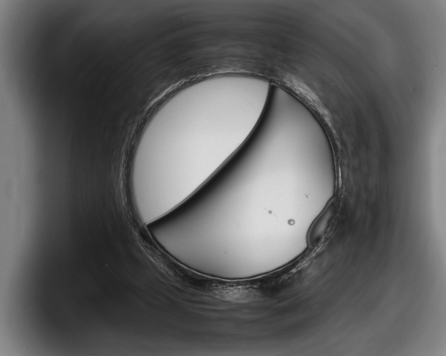 X0000098160249200804171224