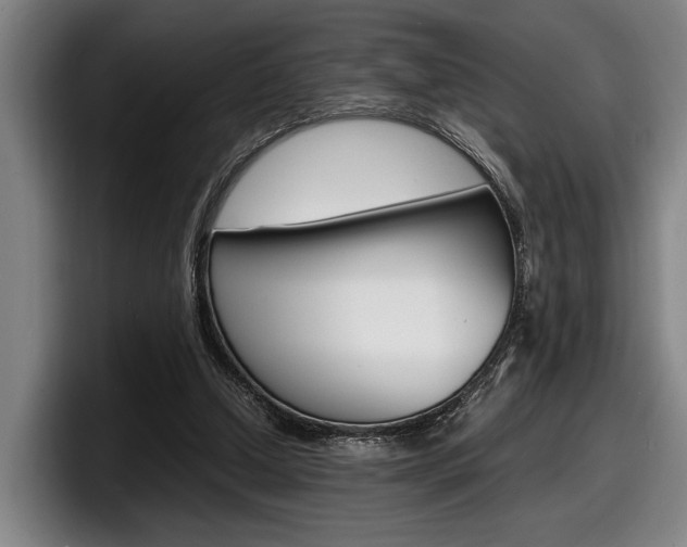 X0000098160250200804171224