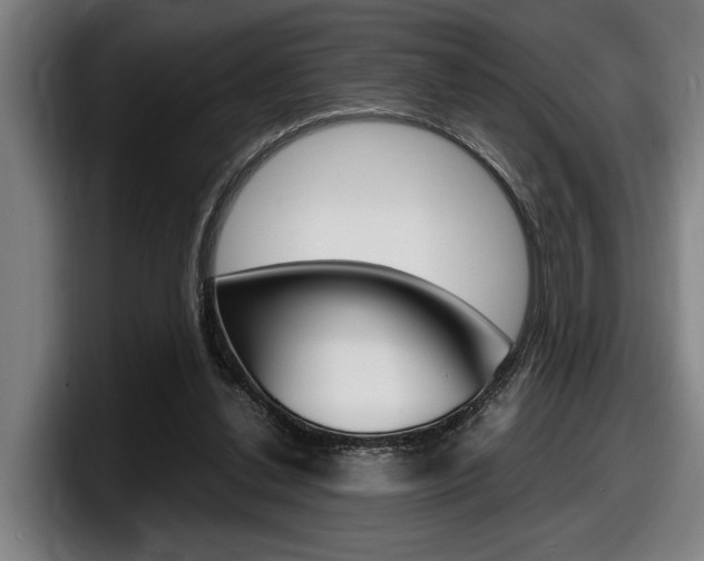 X0000098160252200804171224