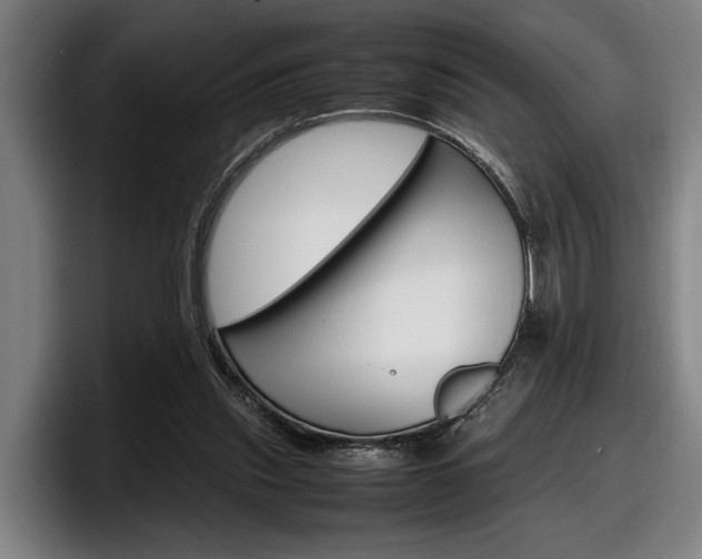 X0000098160253200804171224