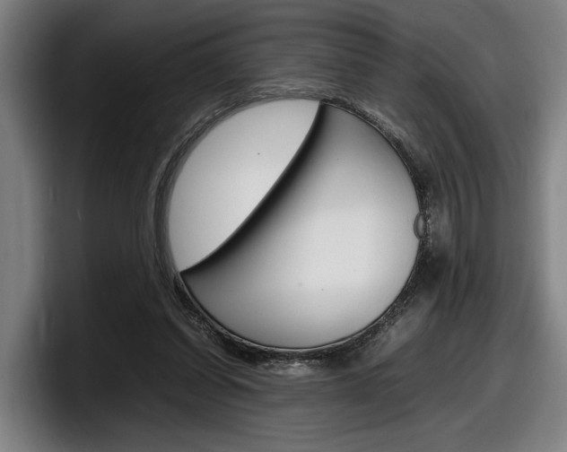 X0000098160254200804171224