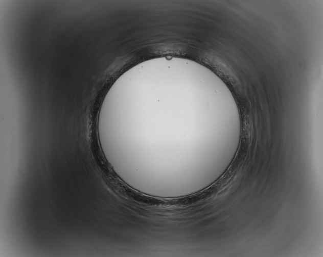 X0000098160255200804171224