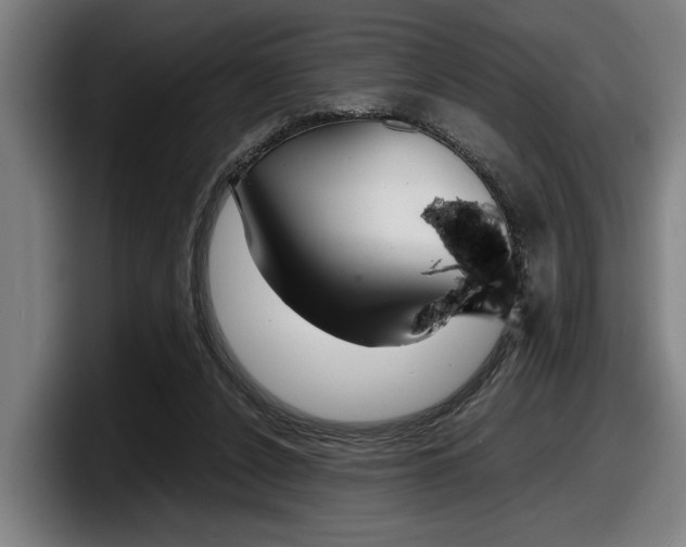 X0000098160256200804171224