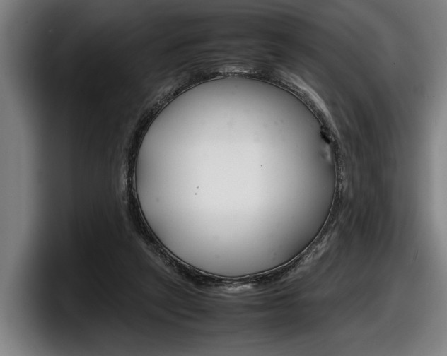 X0000098160257200804171224
