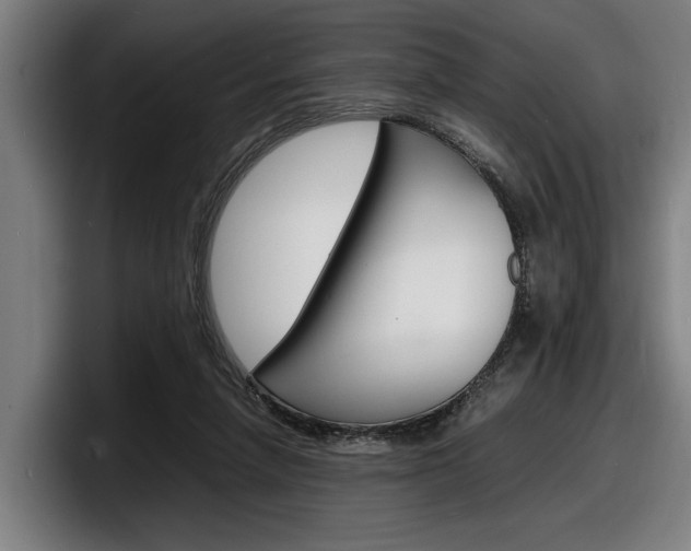 X0000098160258200804171224