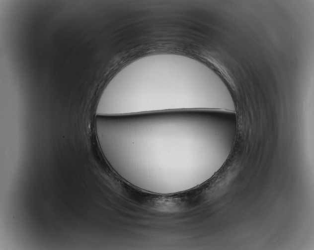 X0000098160261200804171224