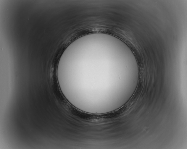 X0000098160263200804171224