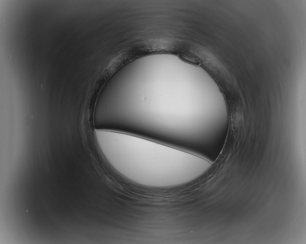 X0000098160264200804171224
