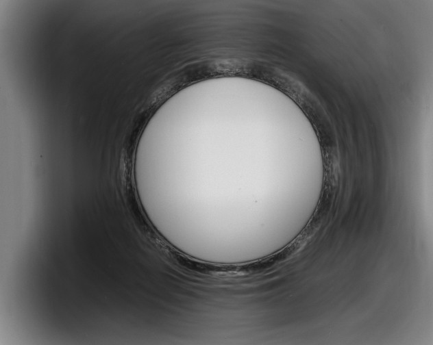 X0000098160266200804171224