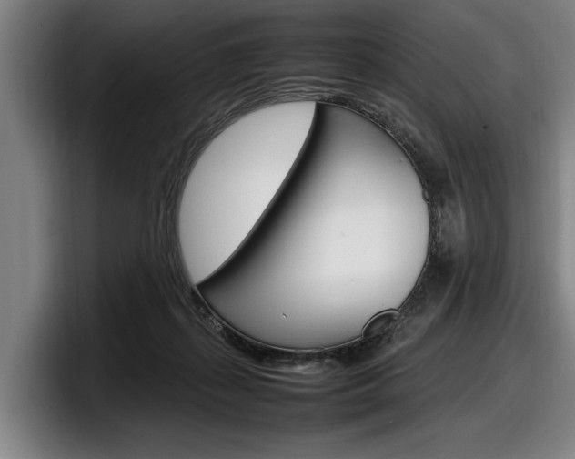 X0000098160267200804171224
