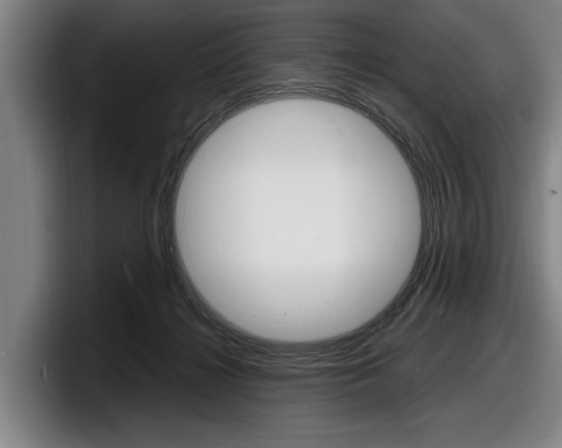 X0000098160268200804171224