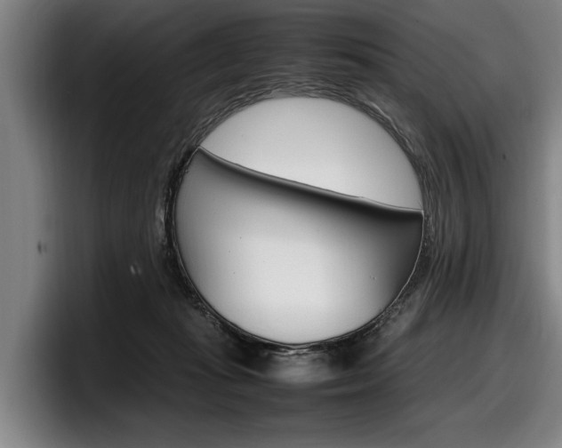 X0000098160269200804171224