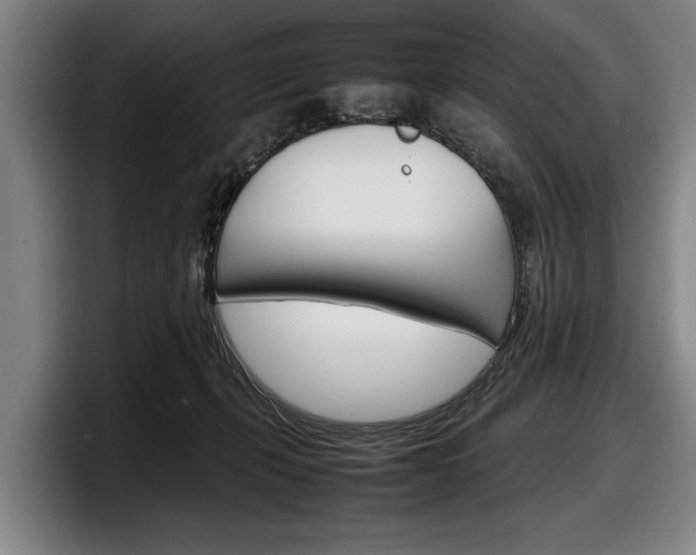 X0000098160271200804171224