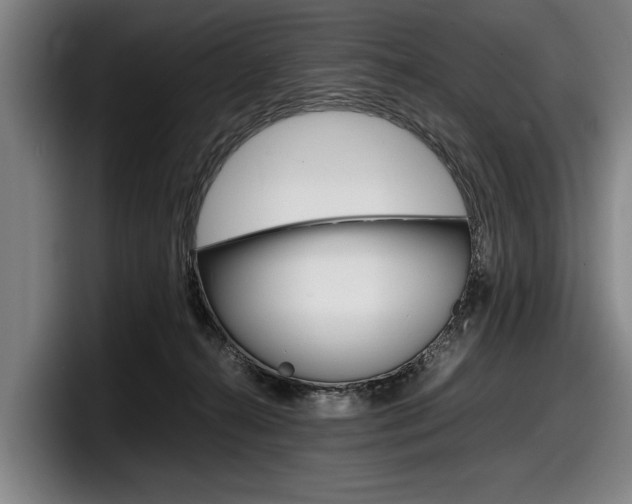 X0000098160272200804171224